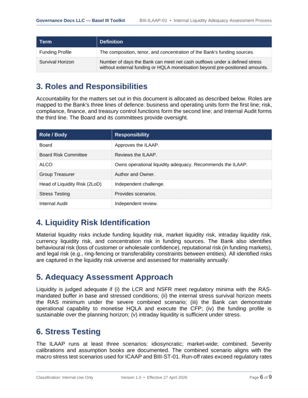 Basel III documentation toolkit — sample template page 17