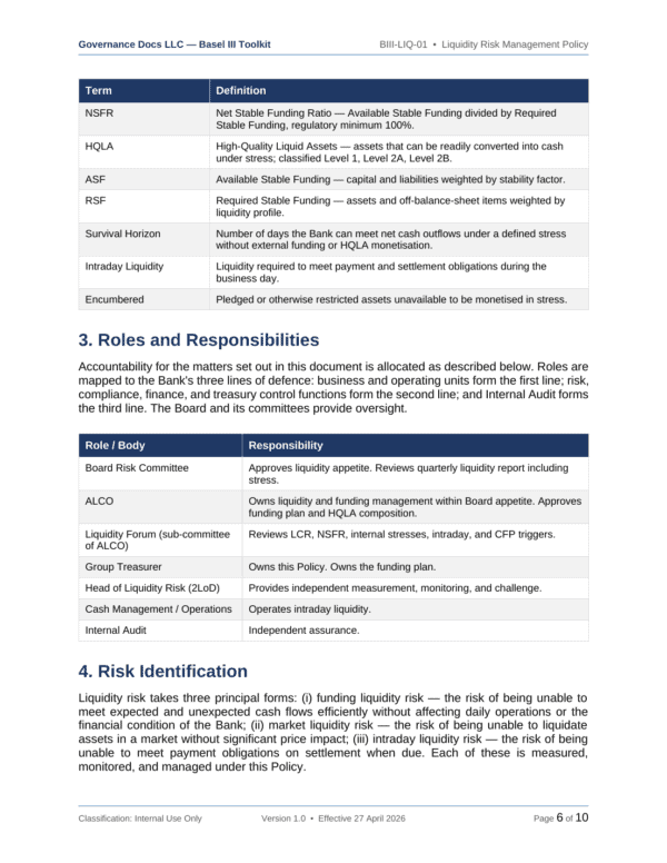 Basel III documentation toolkit — sample template page 19