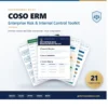 COSO ERM Enterprise Risk & Internal Control Toolkit - 21 templates