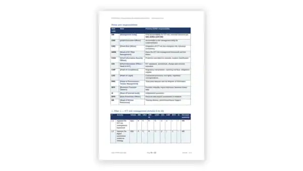Detailed governance roles and responsibilities table for organizational clarity.