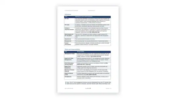 Detailed governance document with policies and responsibilities.