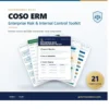 COSO Toolkit