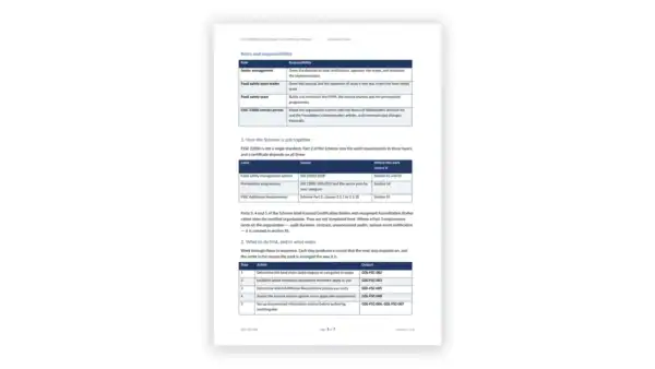 Sample governance document page with policies and responsibilities.
