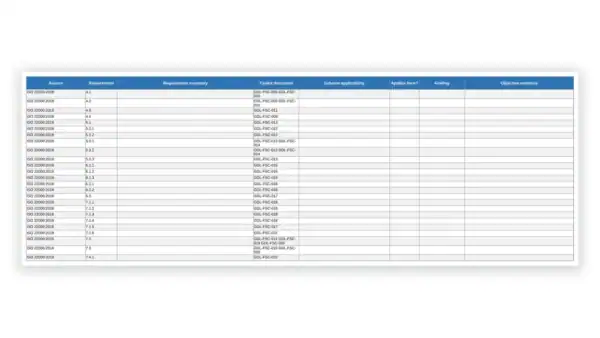 Detailed governance document table with requirements and objectives.