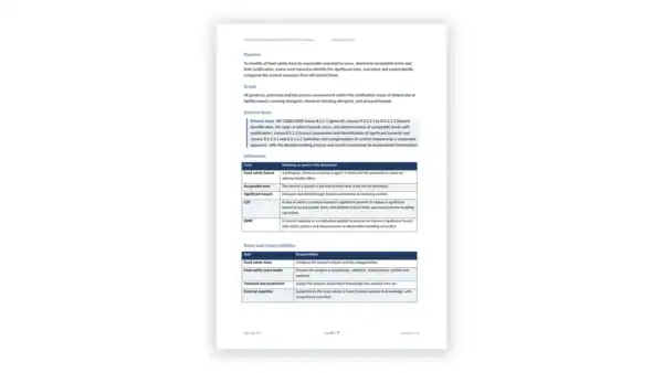 Sample governance document page with policies and responsibilities.