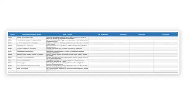 Detailed governance program overview table with key components and descriptions.
