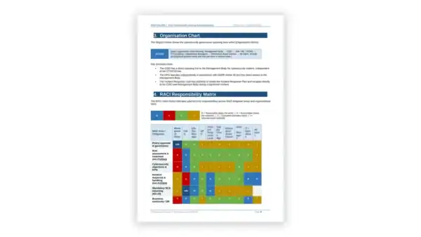 NIS 2 toolkit sample: NIS2 Cybersecurity Roles and Responsibilities
