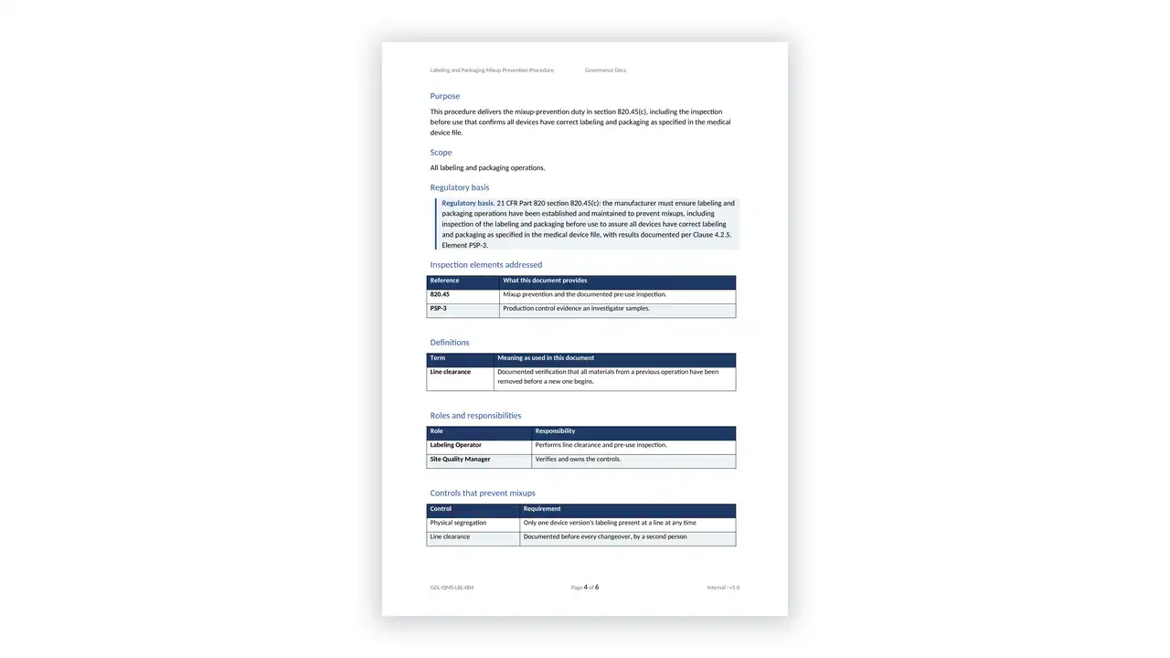 Sample governance document page with sections on purpose, scope, and responsibilities.