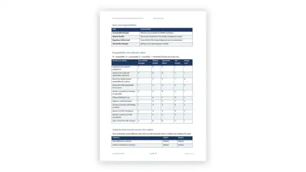 Responsibility and authority chart from Governance Docs for organizational clarity.