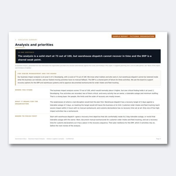 Governance Docs report on analysis and priorities for ERP and warehouse systems.