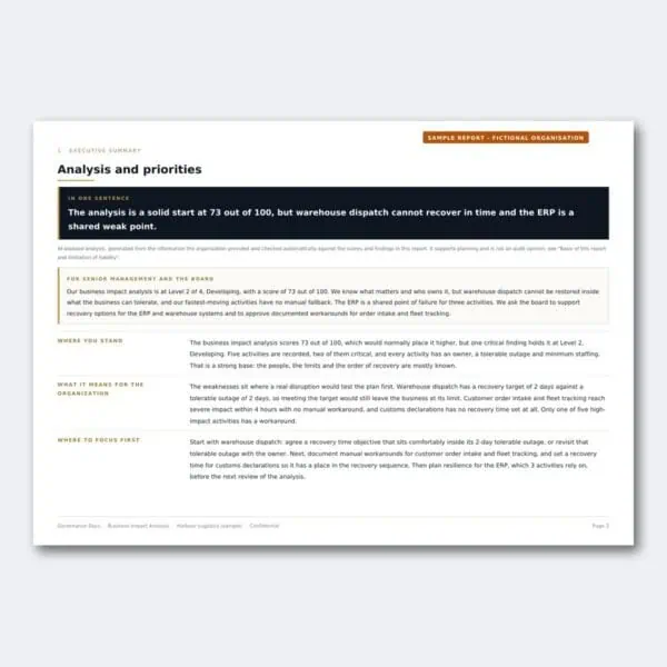 Governance Docs report on analysis and priorities for ERP and warehouse systems.
