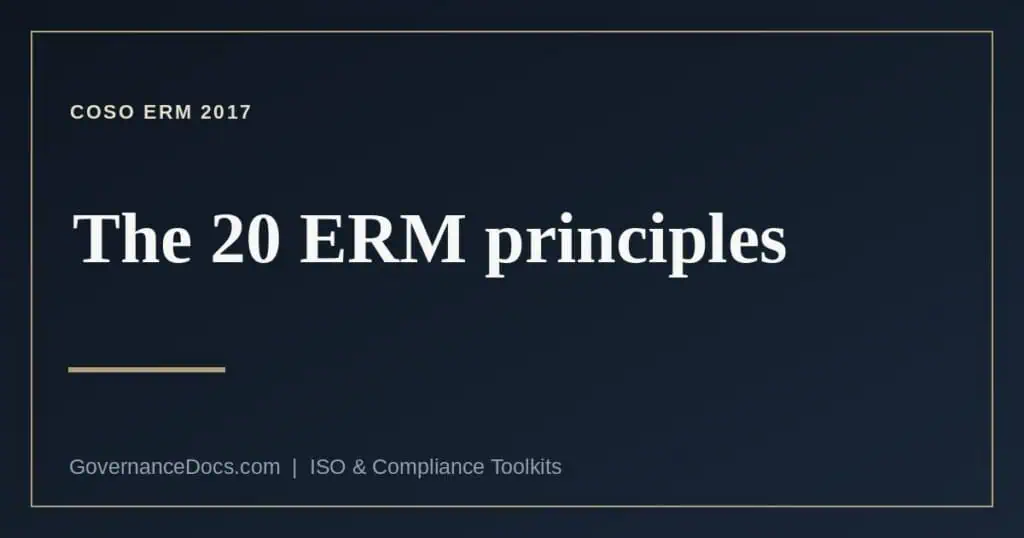 COSO ERM principles explained