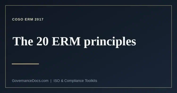 COSO ERM principles explained