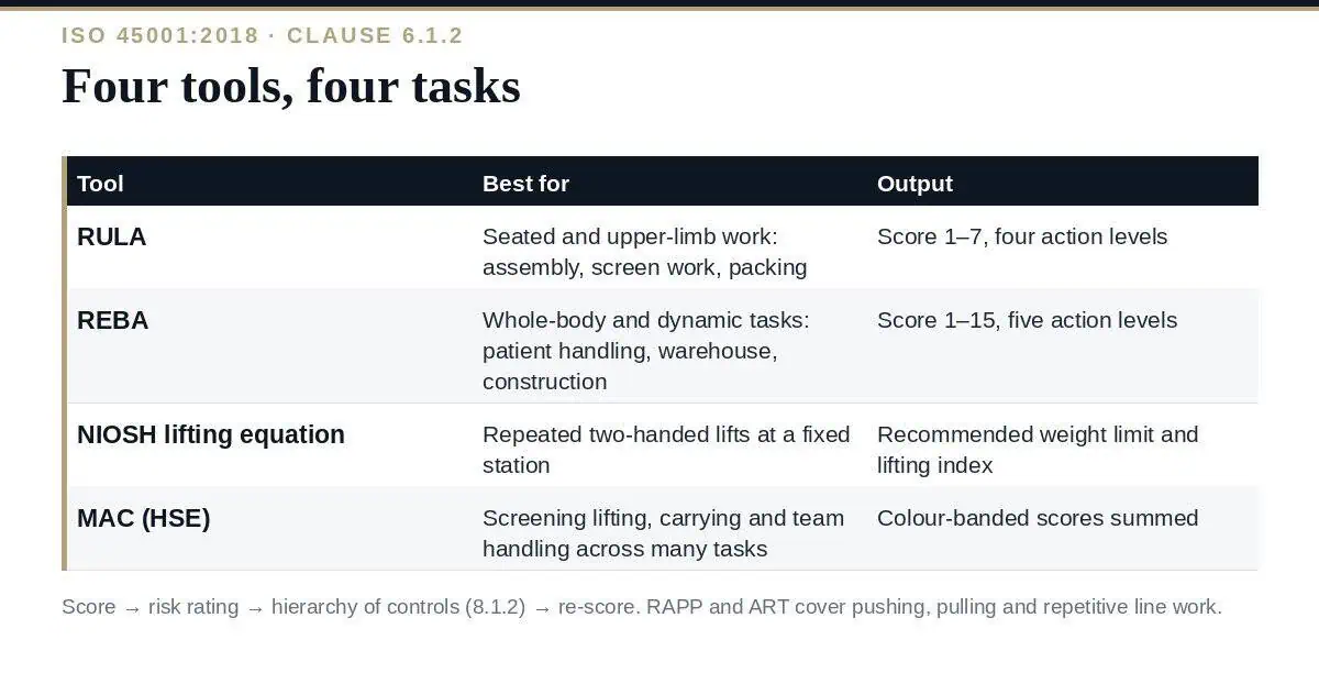 Ergonomic Risk Assessment: A Clear Guide to the 4 Tools Ergonomic risk assessment: four tools and the tasks each fits