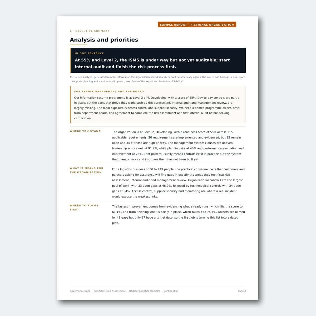 Governance Docs report on analysis and priorities for organizational improvement.
