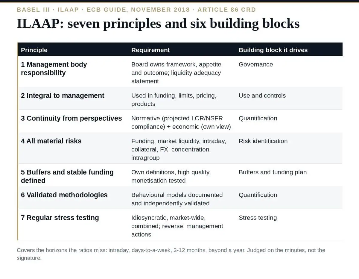 ILAAP: The 7 Essential ECB Principles and 6 Building Blocks ILAAP: the ECB's seven principles and the building blocks behind them