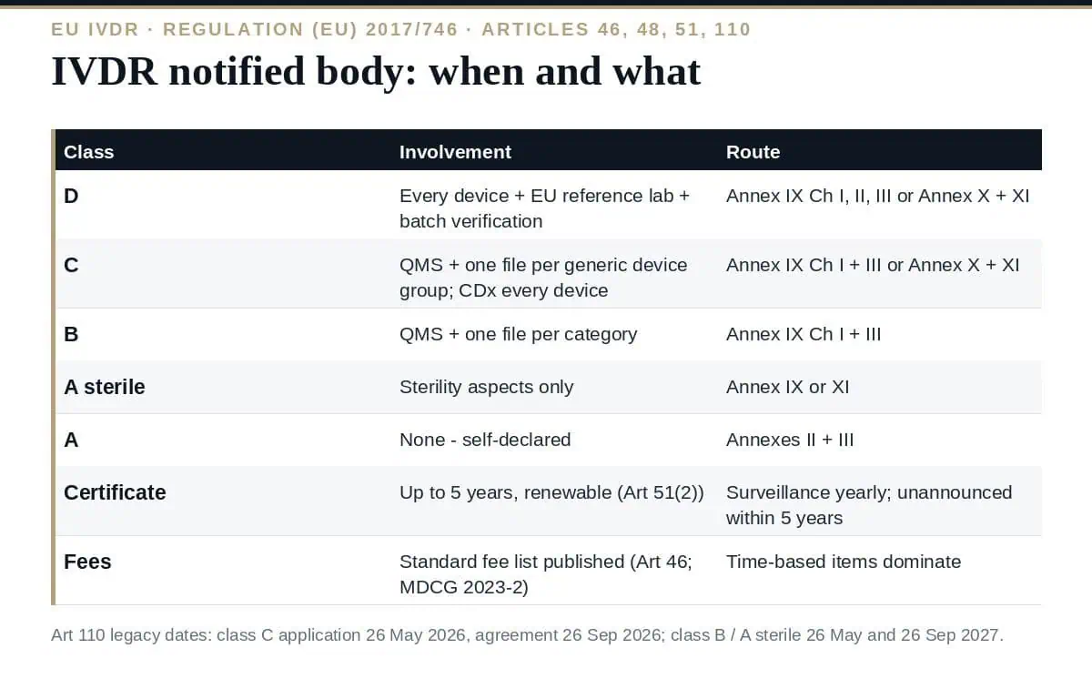 IVDR Notified Body: The 4 Essential Routes and When You Need One IVDR notified body: when you need one and what it assesses