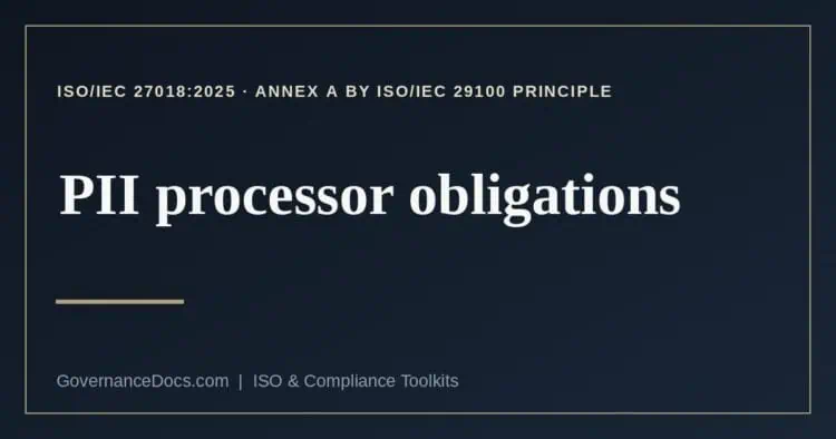 PII processor explained