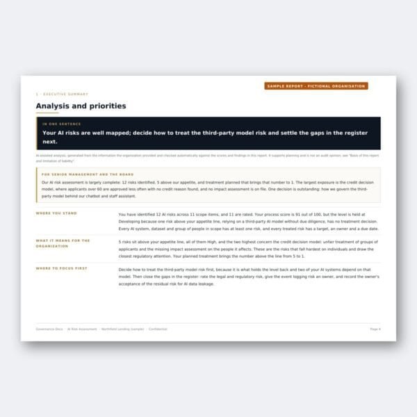 Governance Docs report on analysis and priorities for organizational risk management.
