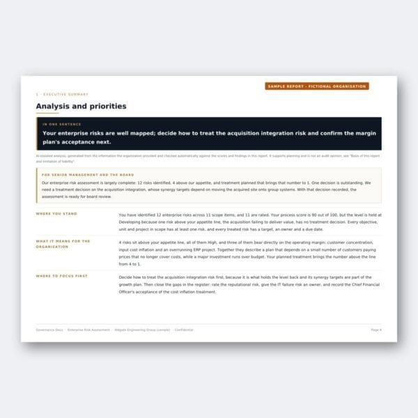 Enterprise Risk Assessment – Analysis and priorities