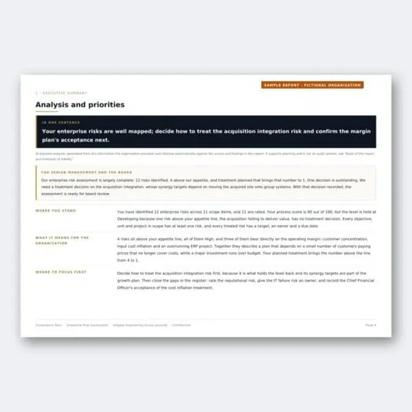 Enterprise Risk Assessment – Analysis and priorities